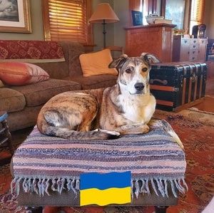 Meet your Posher, Kent